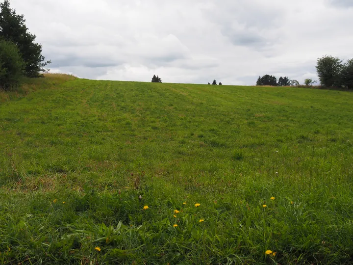 Coulnifontaine (België) (samenvloeiing westelijke en oostelijke Ourthe)